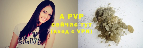 гидра Абинск