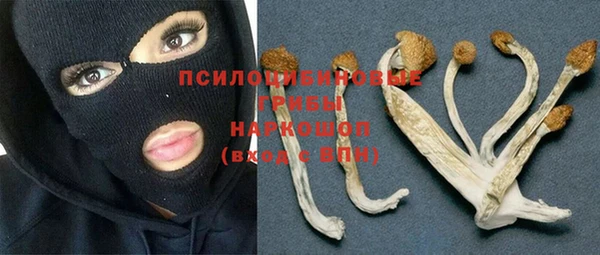гидра Абинск