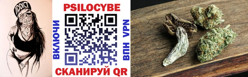 Псилоцибиновые грибы Psilocybine cubensis Приволжск